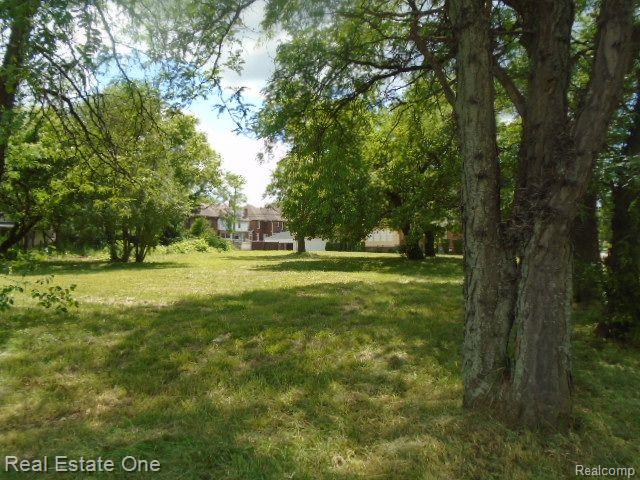 35 EDISON Street, Detroit, MI 48202 — Photo 6