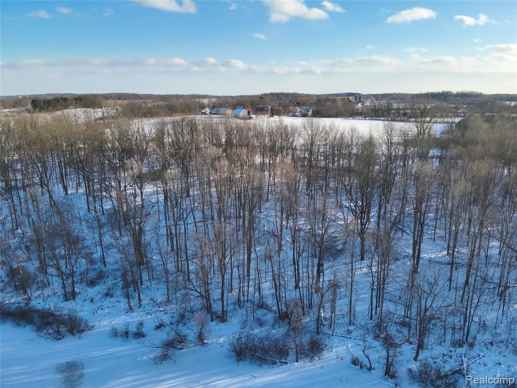 v/l W Us-12 Highway, Manchester, MI 48158 — Photo 15
