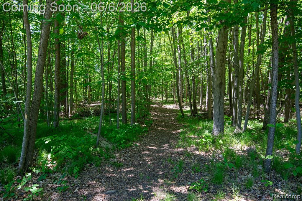 3957 Mill Lake Road, Lake Orion, MI — Photo 16