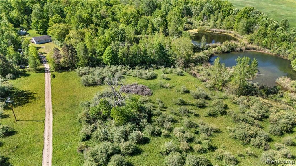 6250 Stine Road, Imlay City, MI 48444 — Photo 6