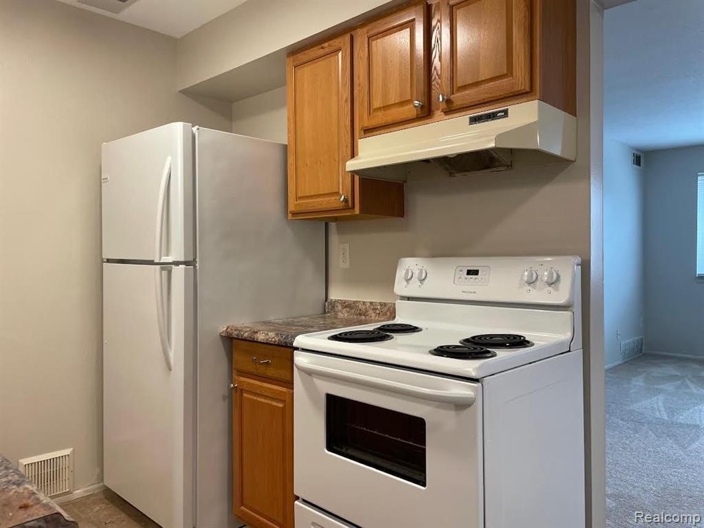 865 E SUMMIT Street, Milford, MI 48381 — Photo 4