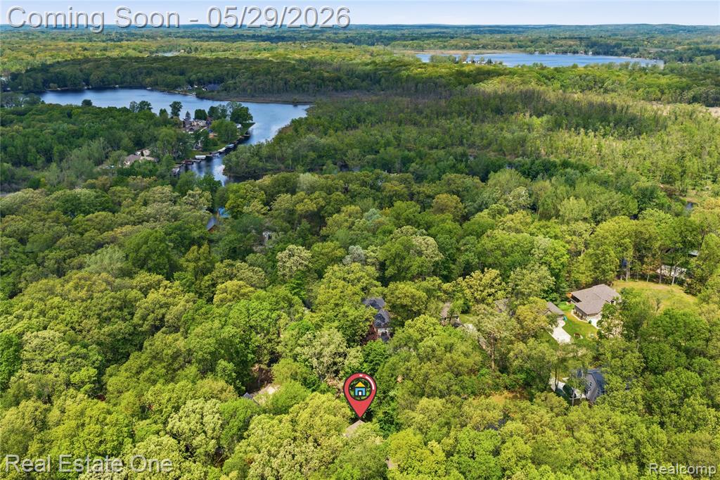 4640 Oak Lane, Whitmore Lake, MI 48189 — Photo 5