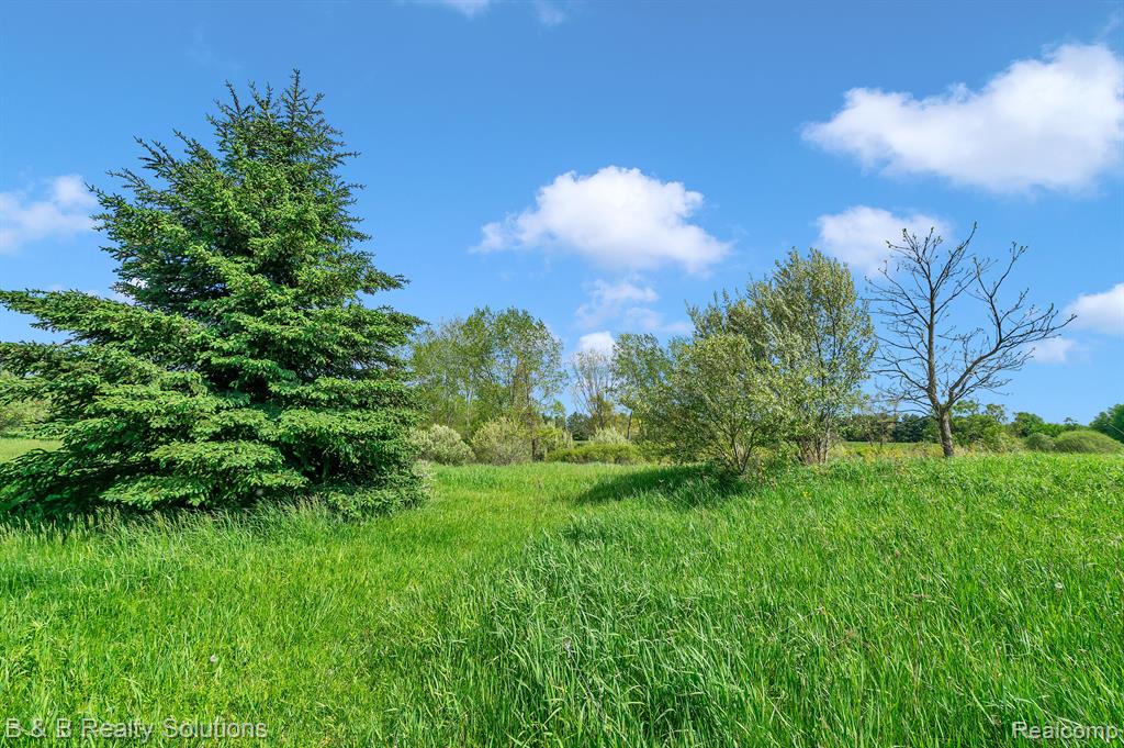 2864 N BLACKS CORNERS Road, Imlay City, MI 48444 — Photo 39