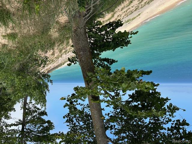 Parcel A Lake Bluff Drive, Arcadia, MI 49613 — Photo 16