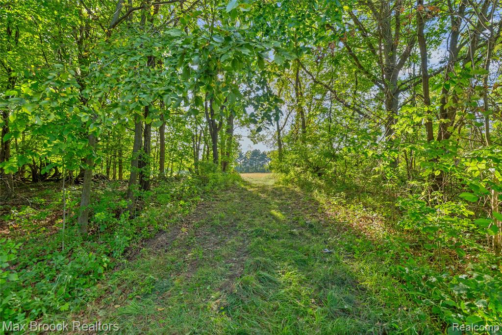 4700 Stanley Road, Columbiaville, MI 48421 — Photo 82