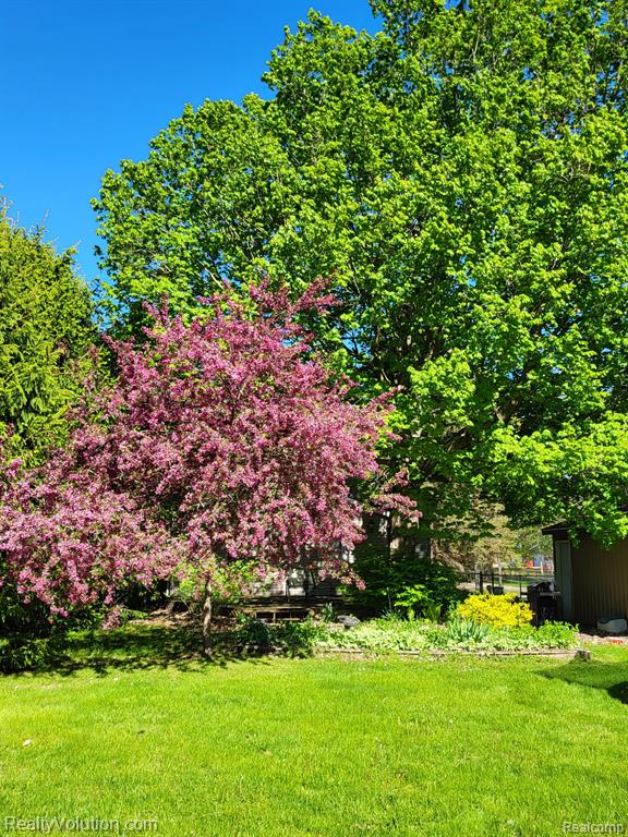 718 S Main Street, Almont, MI 48003 — Photo 4