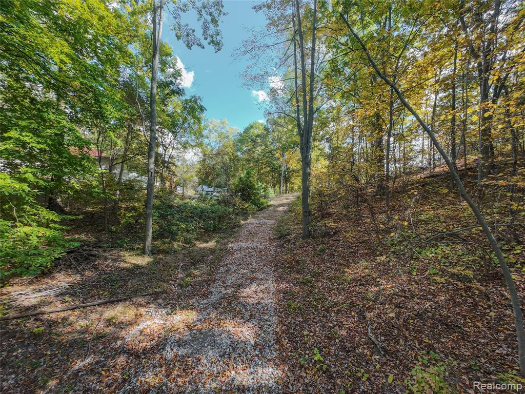 4720 Brunk Drive, Otter Lake, MI 48464 — Photo 3