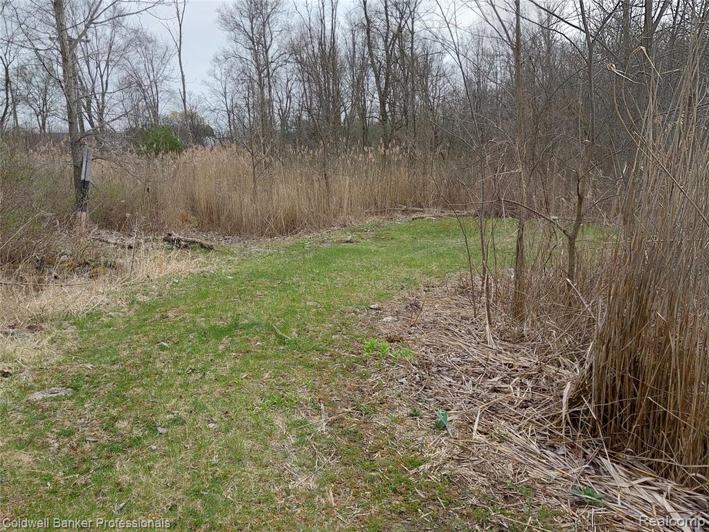 VL Rattle Run Road, St. Clair, MI 48079 — Photo 10