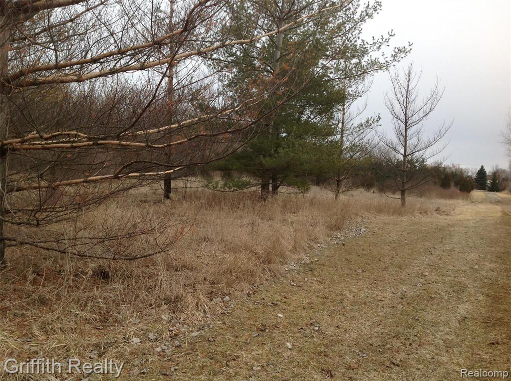 VL MASON RD, Howell, MI 48843 — Photo 3