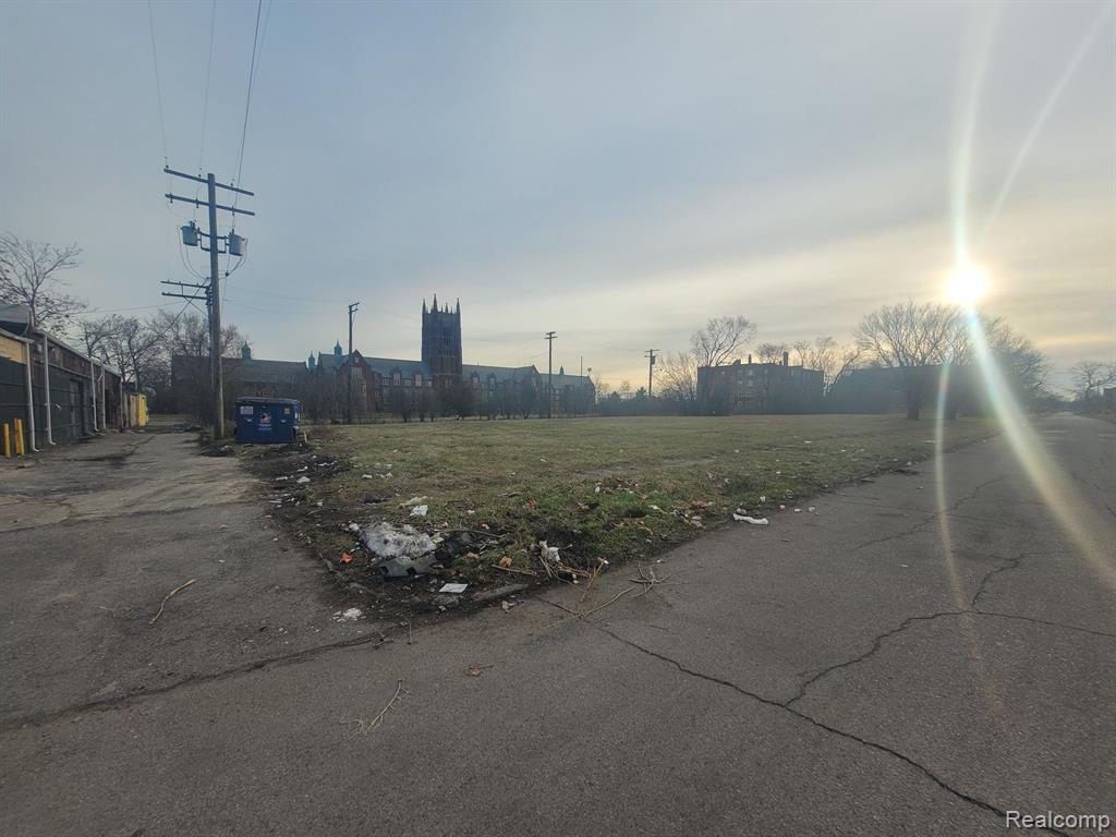 2629 ROCHESTER Street, Detroit, MI 48206 — Photo 3