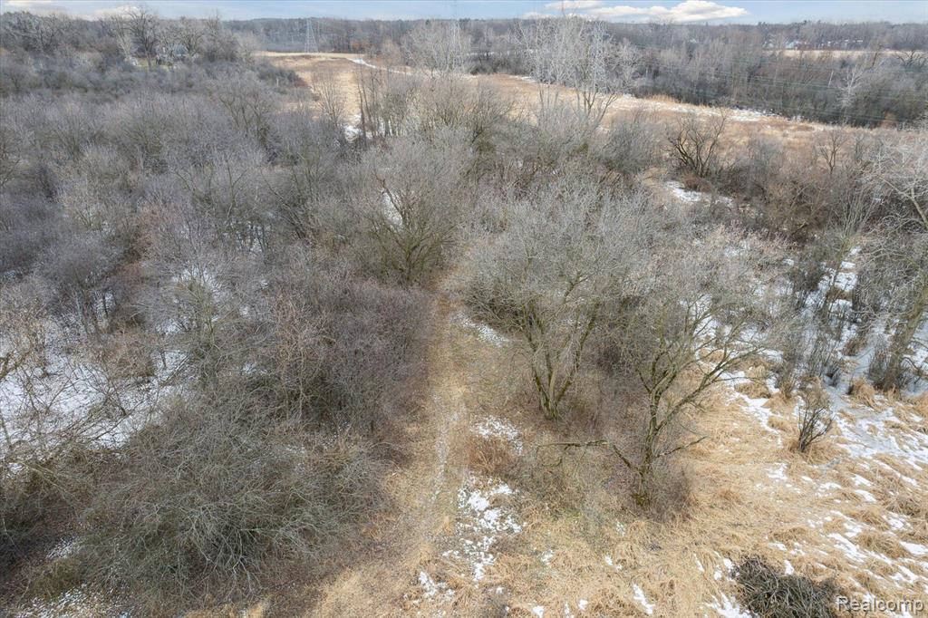 V/L BLAKE Road, Jackson, MI 49201 — Photo 36