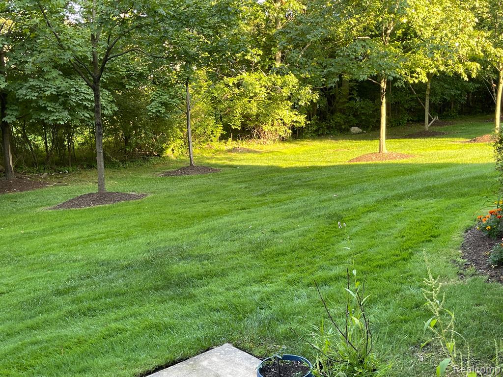 701 CHERRY ORCHARD Road, Canton, MI 48188 — Photo 31