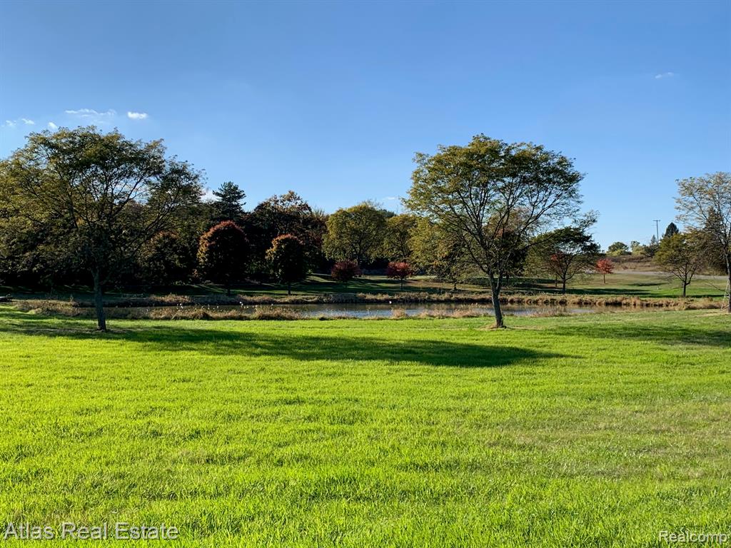 10020 Strawberry Trail, Goodrich Vlg, MI — Photo 2