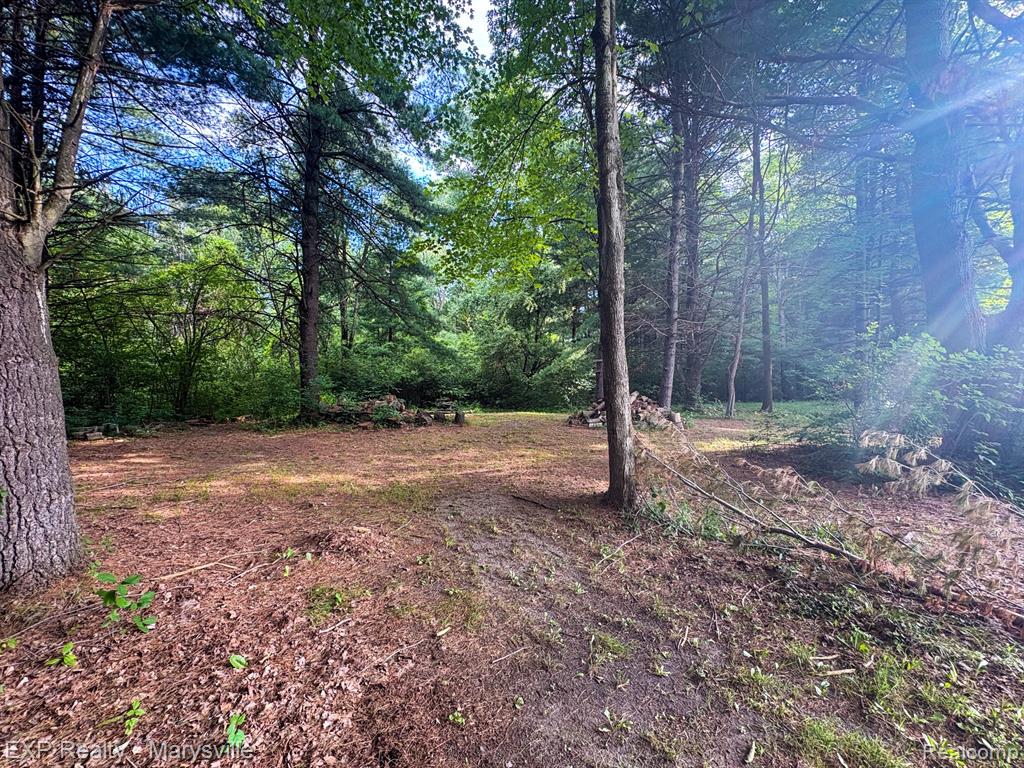 5538 Klettner Rd, St. Clair, MI 48079 — Photo 6