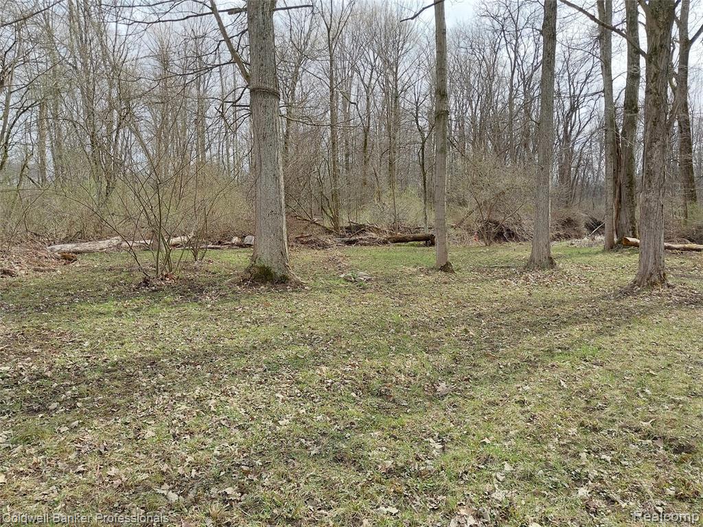 VL Rattle Run Road, St. Clair, MI 48079 — Photo 16