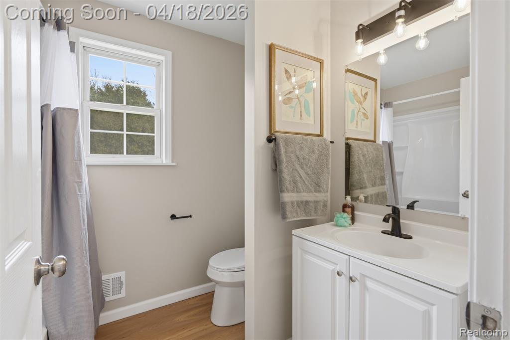 118 Gale Street, Morrice, MI 48857 — Photo 15