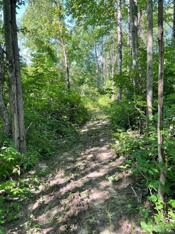 VL Denton Hills Road, Fenton, MI 48430 — Photo 5