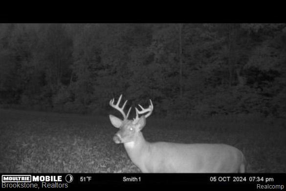 8390 SPARLING Road, Wales, MI — Photo 22
