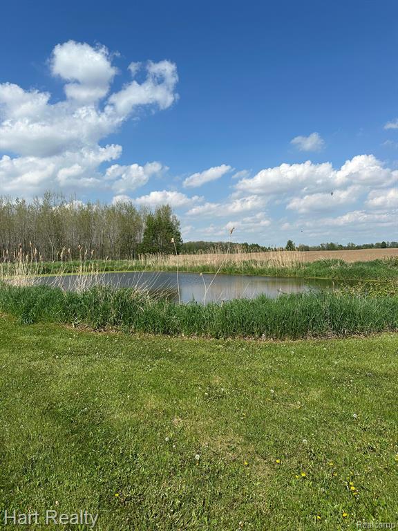 9548 SHARP Road, Clifford, MI 48727 — Photo 23