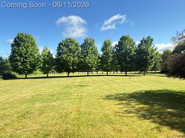 4897 Curtiss Drive, Lapeer, MI 48446 — Photo 6