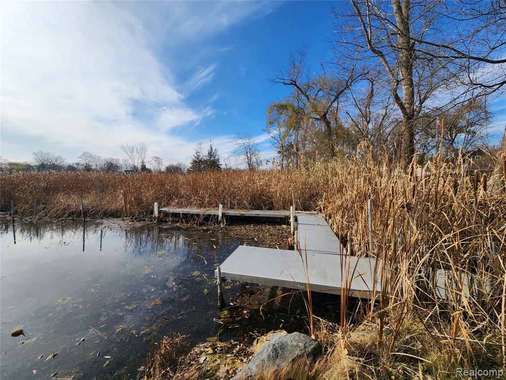 4773 Chipman Drive, Waterford, MI 48327 — Photo 5