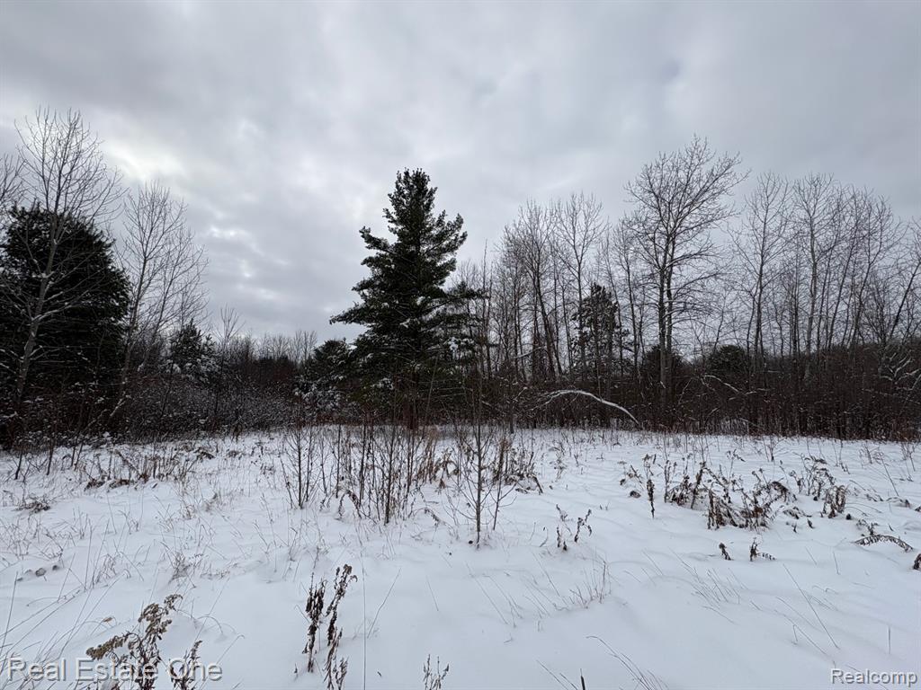 2855 E County Line Road, Hale, MI 48739 — Photo 33