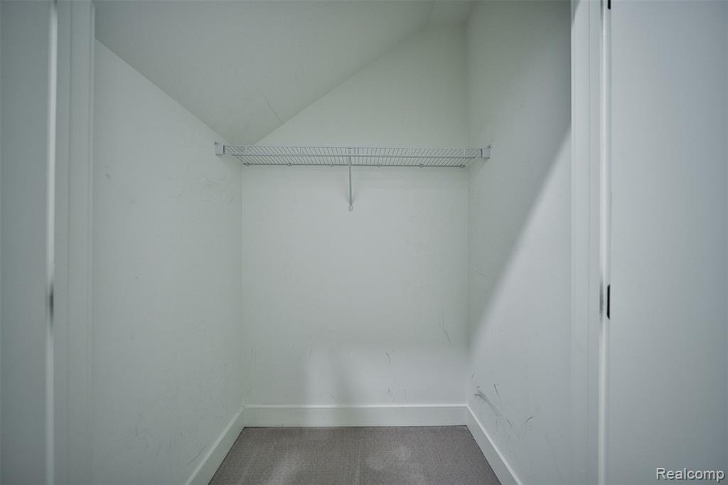 2835 Brush Street, Detroit, MI 48201 — Photo 7