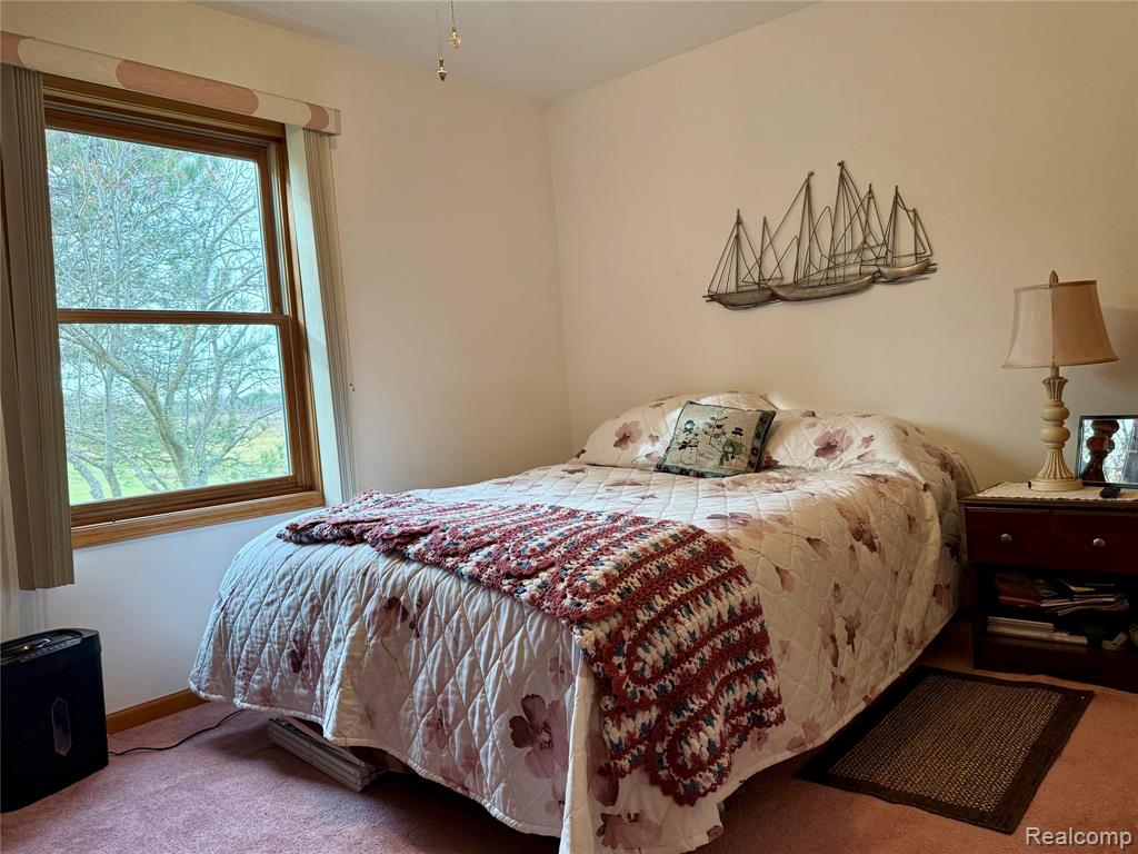 10415 N Genesee Road, Mount Morris, MI 48458 — Photo 18