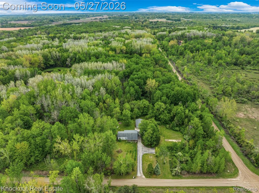 6512 Center Line Road, Kingston, MI 48741 — Photo 36