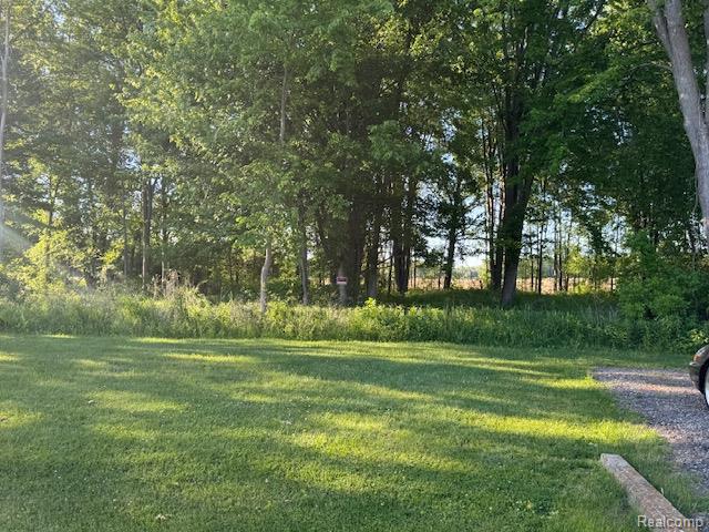 9972 Dixie Highway, Ira, MI — Photo 7