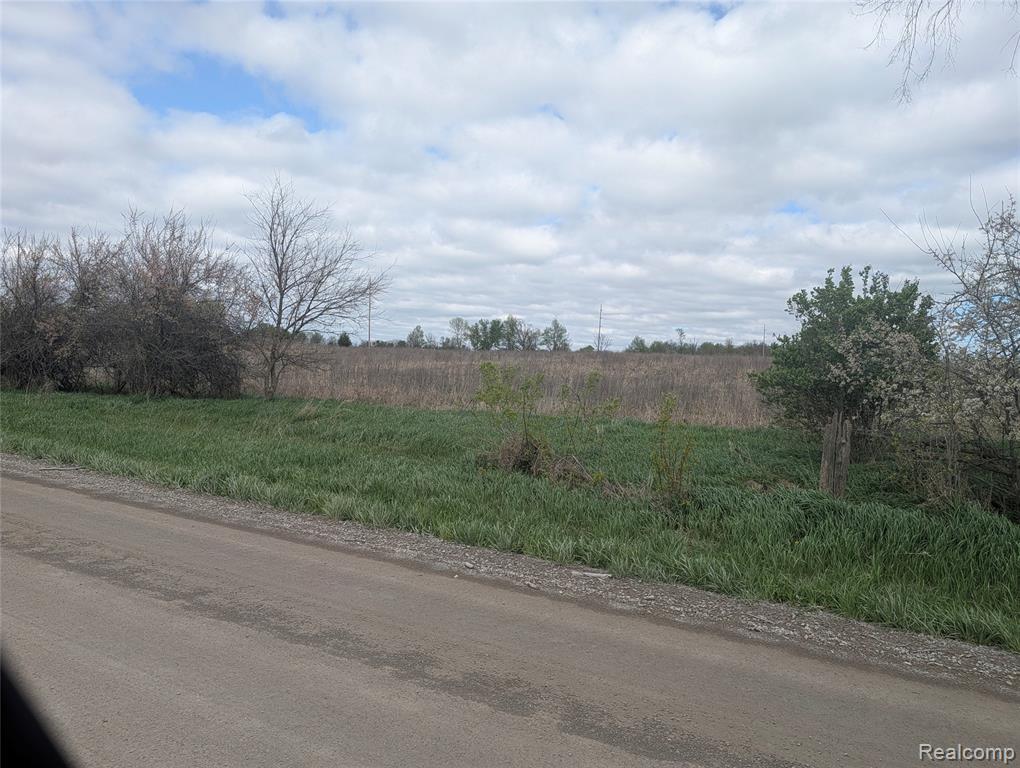 Parcel E Hogan Road, Linden, MI 48451 — Photo 4