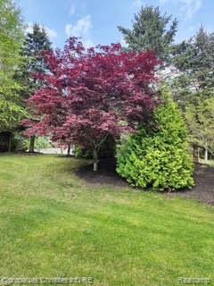 1009 Tall Pines Trail, Highland, MI 48356 — Photo 86