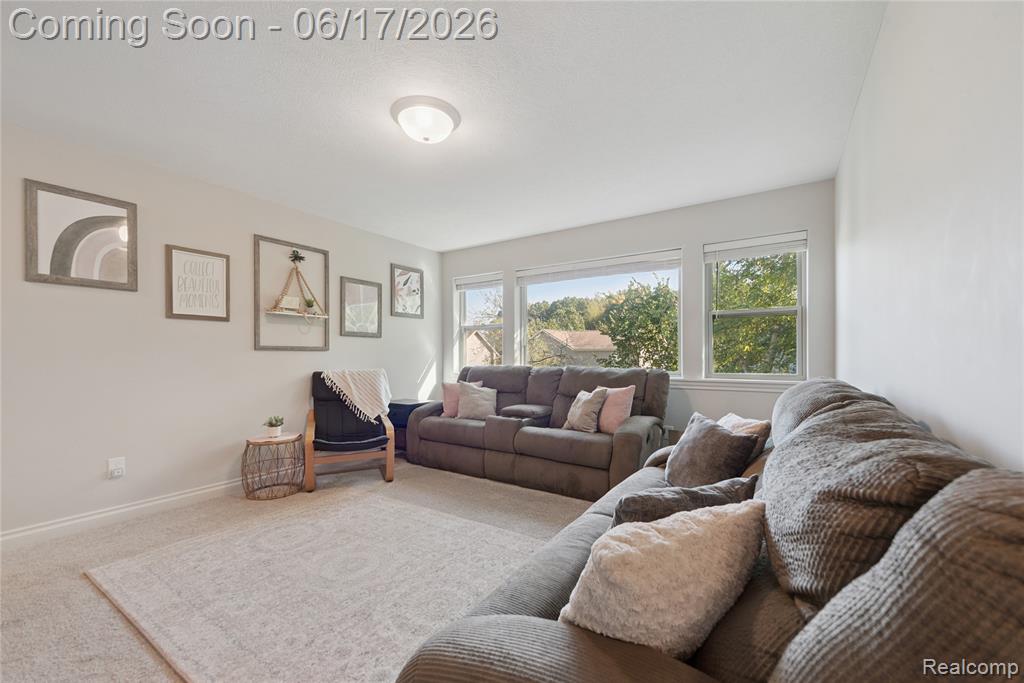 16939 Willowbrook Drive, Haslett, MI 48840 — Photo 40