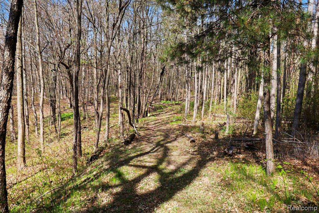 8815 Milford Road, Holly, MI 48442 — Photo 9