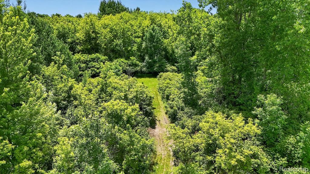 4461 Ray Road, Grand Blanc, MI 48439 — Photo 5