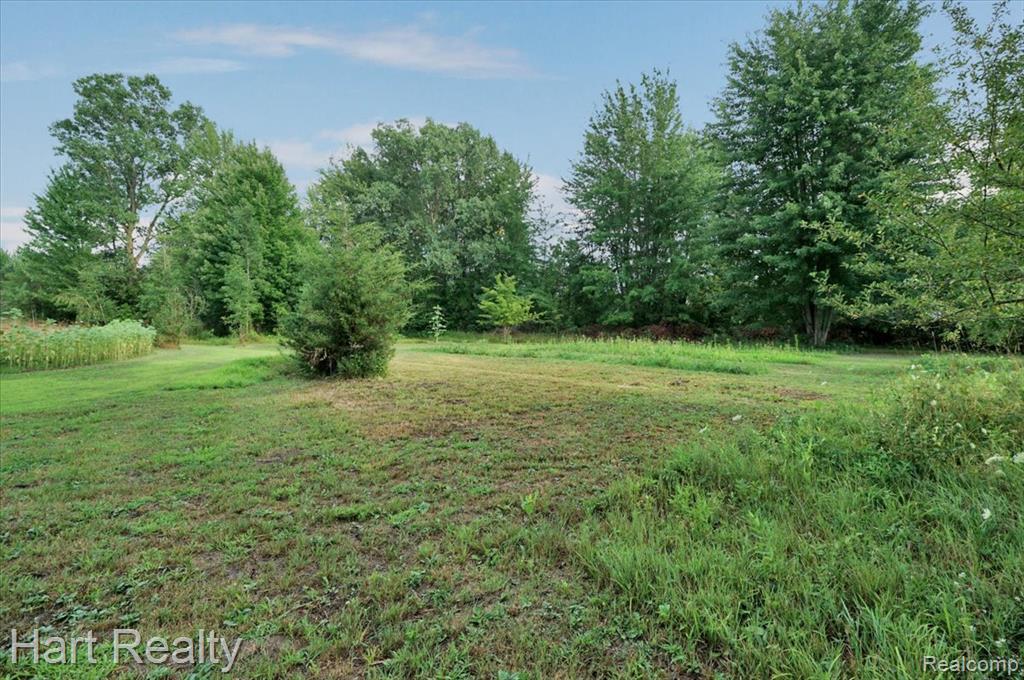 6767 Saint Marys Street, Brown, MI 48416 — Photo 26