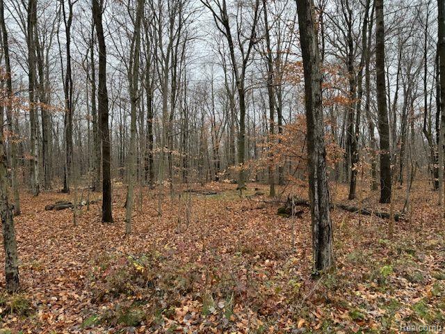 Parcel 2 MCCLEMENTS Road, Brighton, MI 48114 — Photo 2