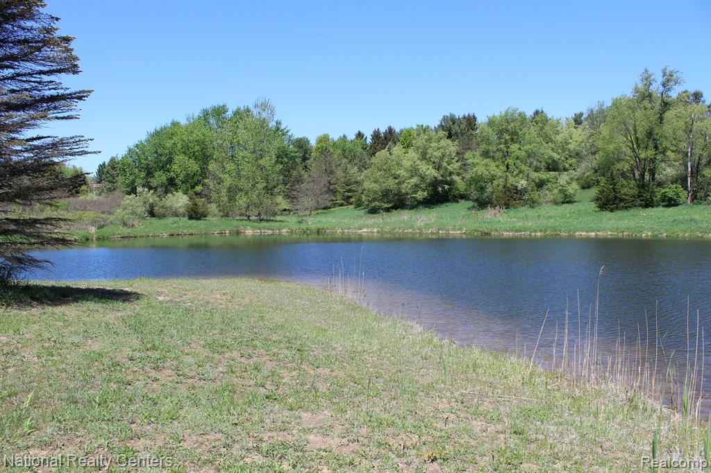 9720 QUEENS Drive, Manchester, MI 48158 — Photo 34