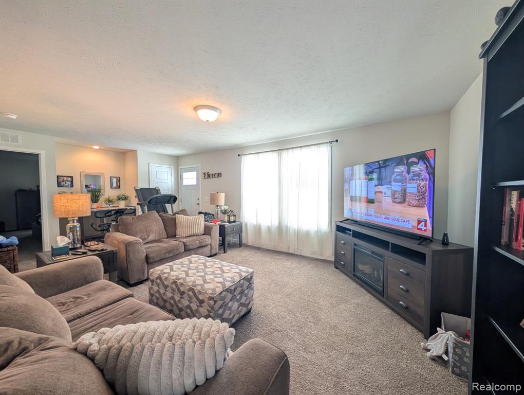 11219 Wildbrook Court, South Lyon, MI 48178 — Photo 9