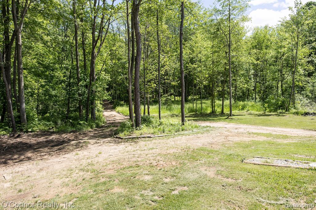 3650 Rabidue Road, Clyde, MI 48049 — Photo 45