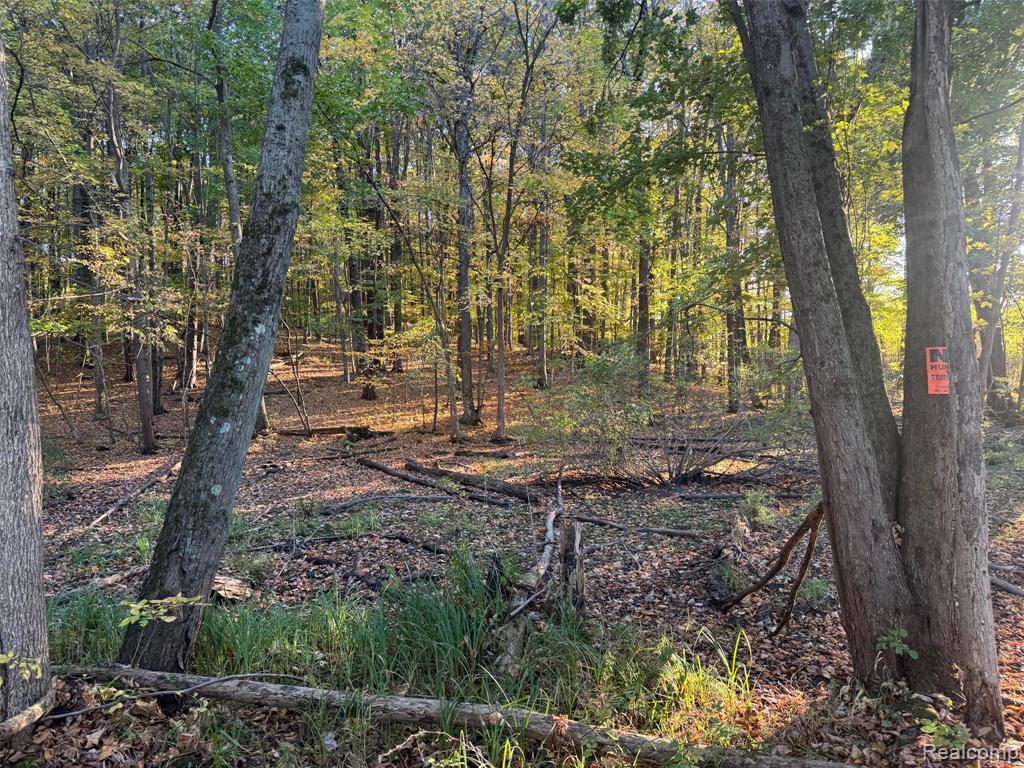VL Rock Valley Road, Metamora, MI 48455 — Photo 5