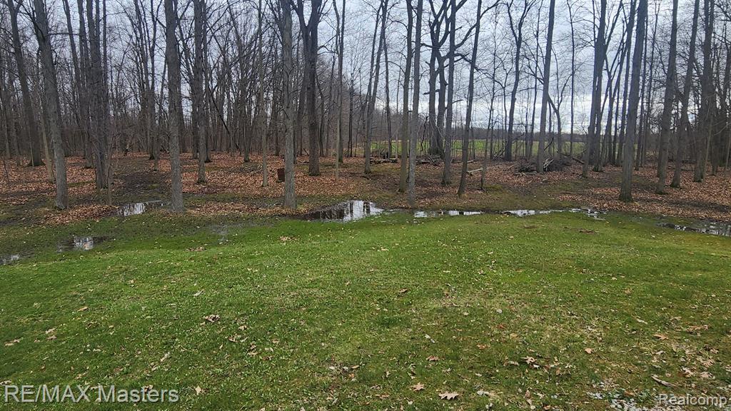 5718 HUNT Road, Adrian, MI 49221 — Photo 28