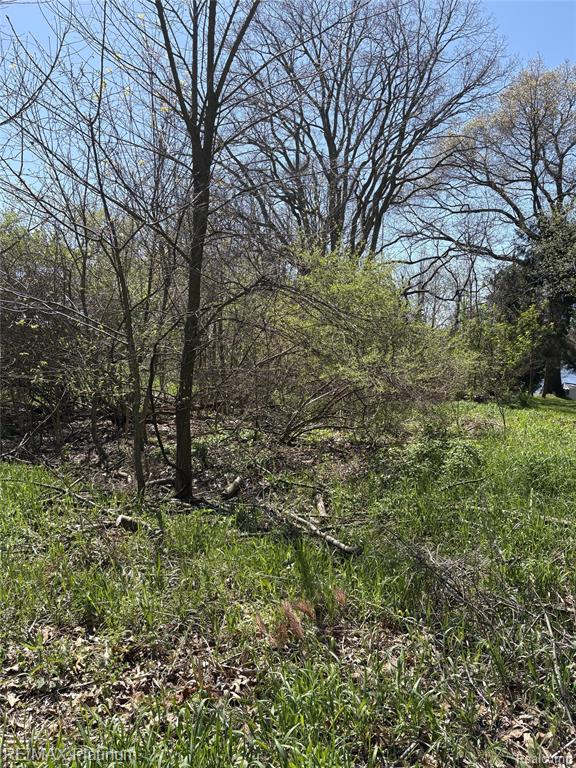 Transfer Parcel A Edgemont Drive, Howell, MI 48855 — Photo 2