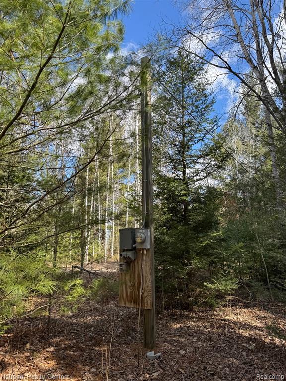 4233 Hardacre Trail, Houghton Lake, MI 48629 — Photo 28