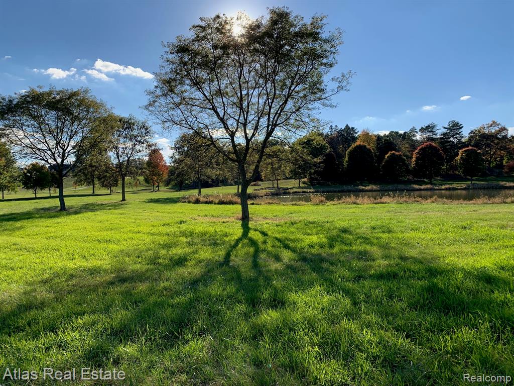 10020 Strawberry Trail, Goodrich Vlg, MI — Photo 8