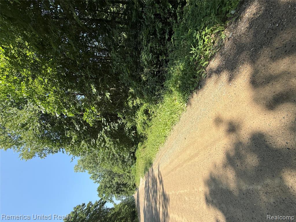5550 Fisher Road, Howell, MI 48855 — Photo 10
