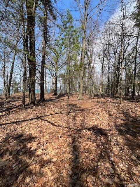5271 Lake Breeze Drive, Pentwater, MI 49449 — Photo 5