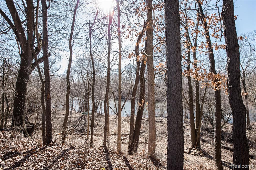 7695 HURON RIVER Drive S, Dexter, MI 48130 — Photo 17