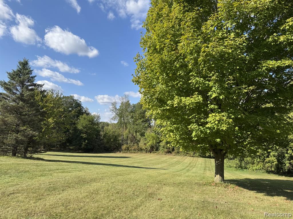 6409 Robb Road, Fowlerville, MI 48836 — Photo 11