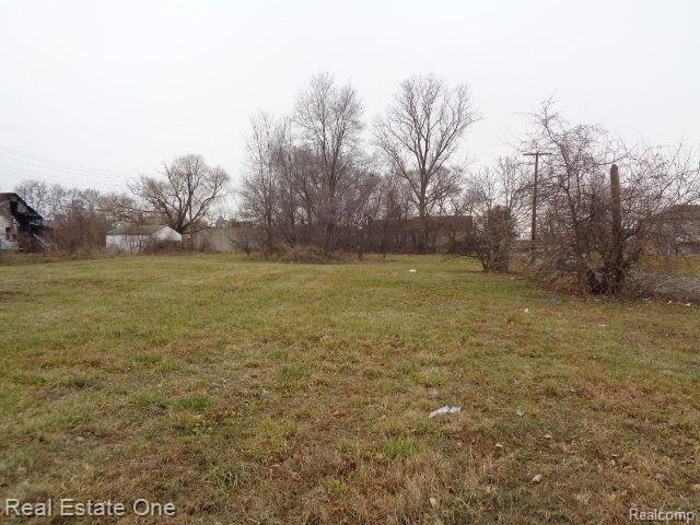 2706 HENDRICKS Street, Detroit, MI 48207 — Photo 5